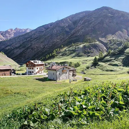 Apartment Stefan Trepalle